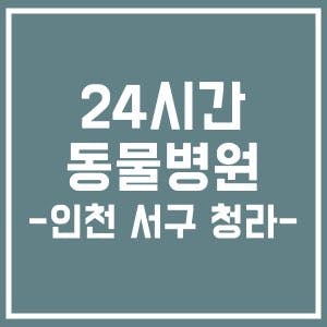 24시간 주말 동물병원 - 인천 서구, 청라권