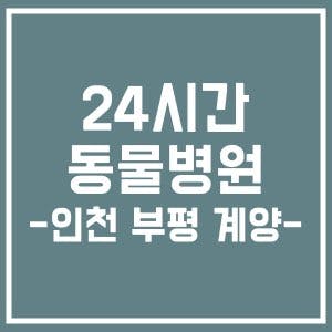 24시간 주말 동물병원 - 인천 부평, 계양권