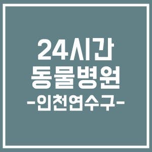 24시간 주말 동물병원 - 인천 연수구