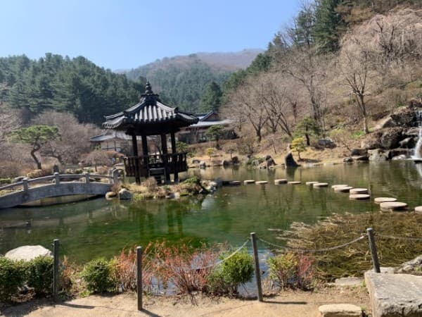 아침고요수목원-호수-서화연 {caption:서화연}